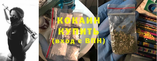 винт Лабытнанги