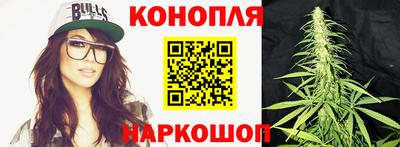 бошки Бийск