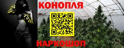 дмт Гагарин